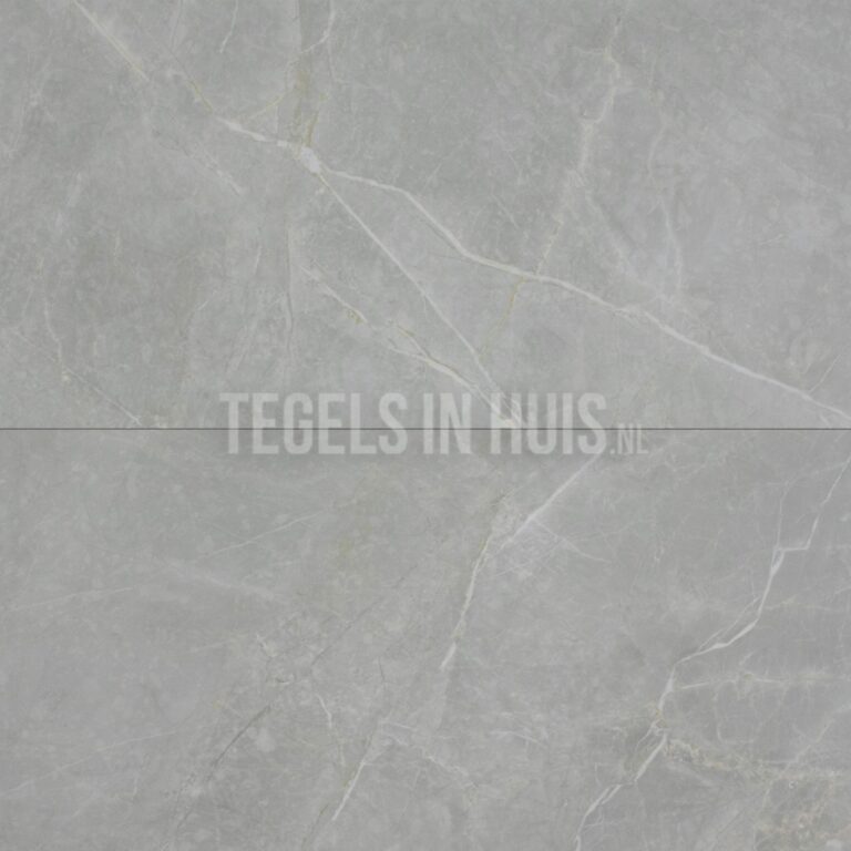 vloertegel / wandtegel marble s licht grijs gepolijst 60x120 gerectificeerd