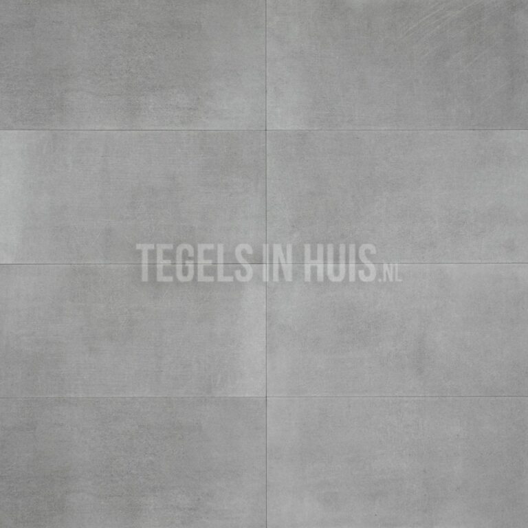 vloertegel / wandtegel rebel grijs 30x60 (29,8x59,8) gerectificeerd
