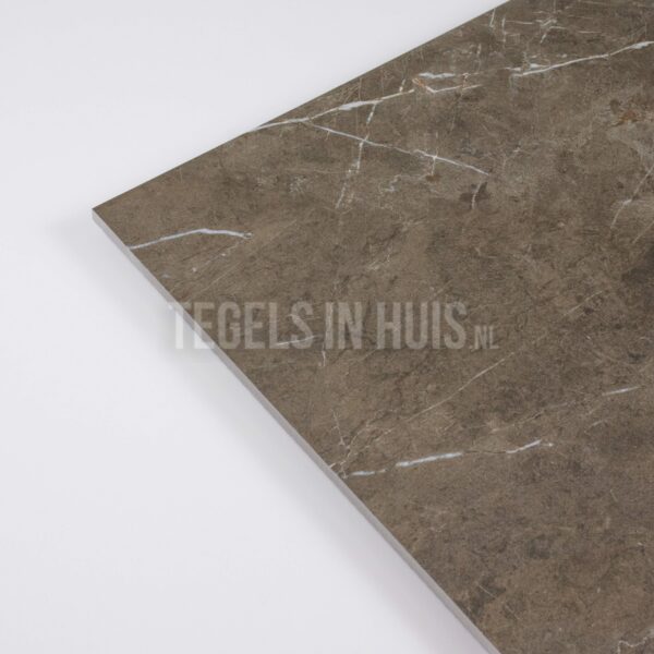 vloertegel / wandtegel ticino stone brons mat 60x120 gerectificeerd