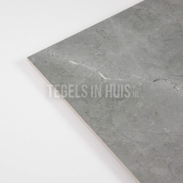 vloertegel / wandtegel ticino stone grijs mat 60x120 gerectificeerd