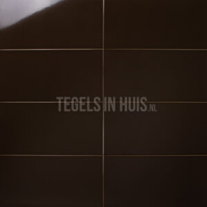 wandtegel 20x40 glans donker bruin waamb671