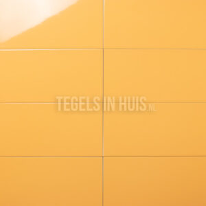wandtegel 20x40 glans donker oranje waamb272