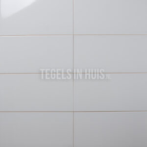 wandtegel 20x40 glans grijs waamb010