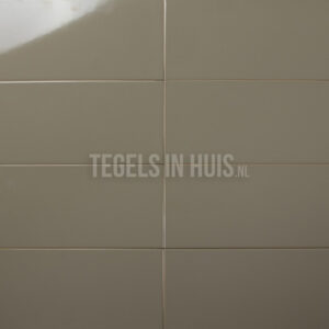 wandtegel 20x40 glans grijs bruin waamb303