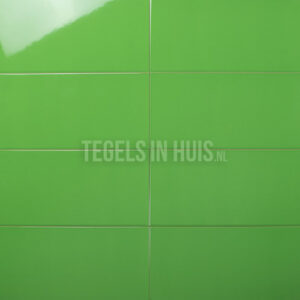 wandtegel 20x40 glans groen waamb456