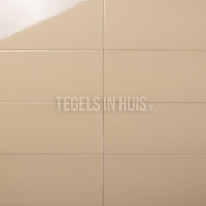 wandtegel 20x40 glans licht beige bruin waamb301