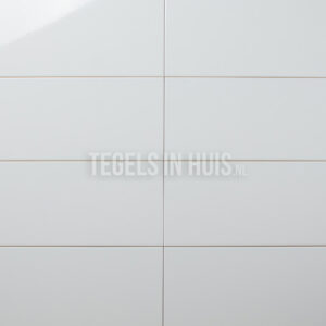 wandtegel 20x40 glans licht grijs waamb012