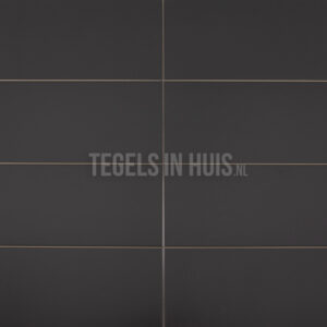 wandtegel 20x40 mat antraciet waamb765