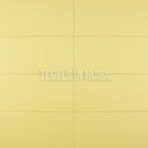 wandtegel 20x40 mat geel waamb221