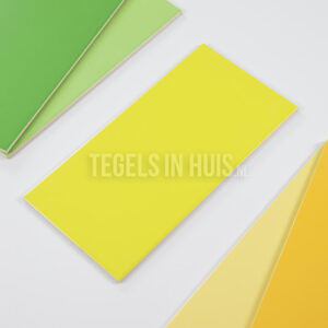 Wandtegel 20×40 mat zwart WAAMB732