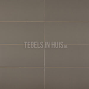 wandtegel 20x40 mat grijs bruin waamb313