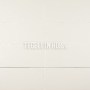 wandtegel 20x40 mat licht beige waamb107