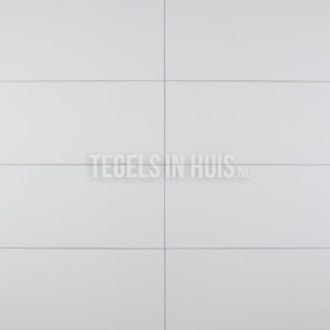wandtegel 20x40 mat licht grijs waamb112