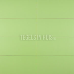 wandtegel 20x40 mat licht groen waamb465