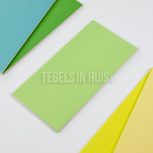 Wandtegel 20×40 mat zwart WAAMB732