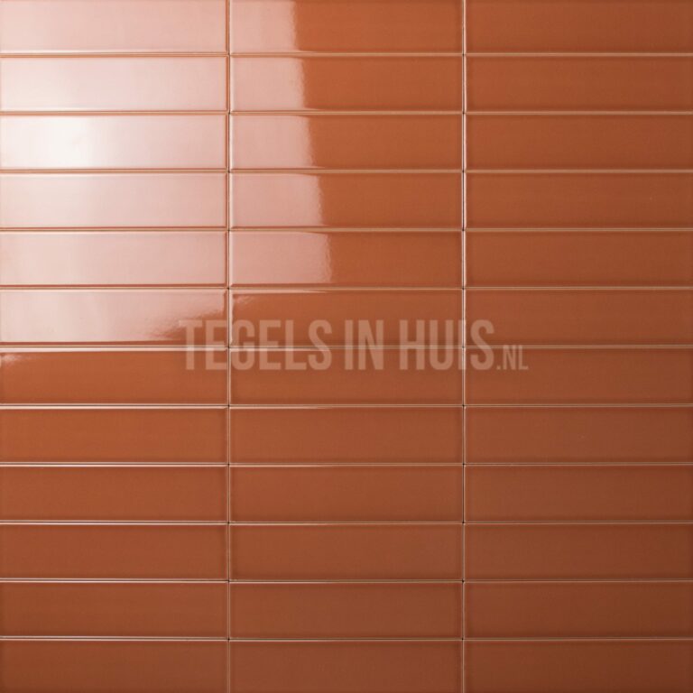 wandtegel costa nova terracotta glans 5x20