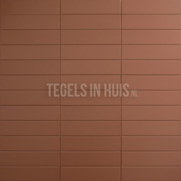 wandtegel costa nova terracotta mat 5x20