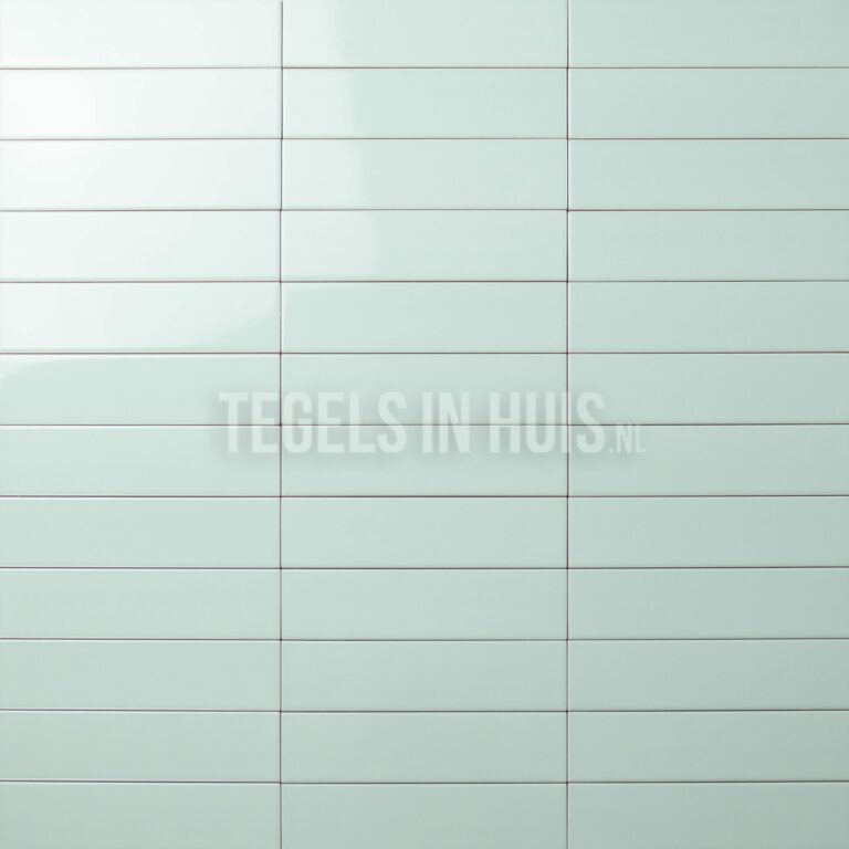 wandtegel costa nova aloë glans 5x20