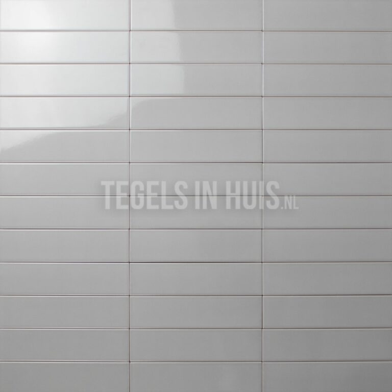 wandtegel costa nova grijs glans 5x20