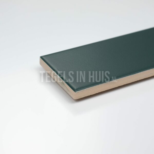 wandtegel costa nova groen laurel mat 5x20