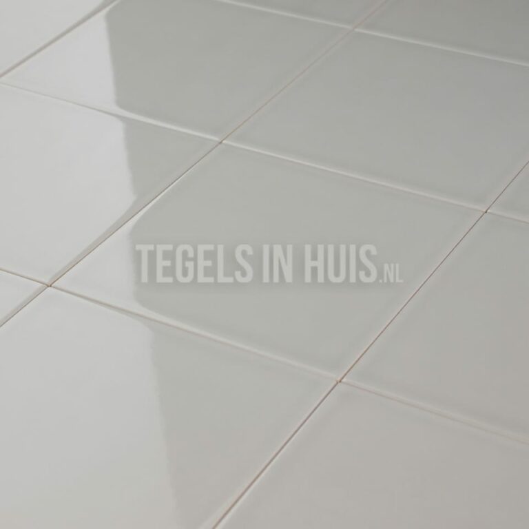 wandtegel evolution glans claro grijs 15x15 cm