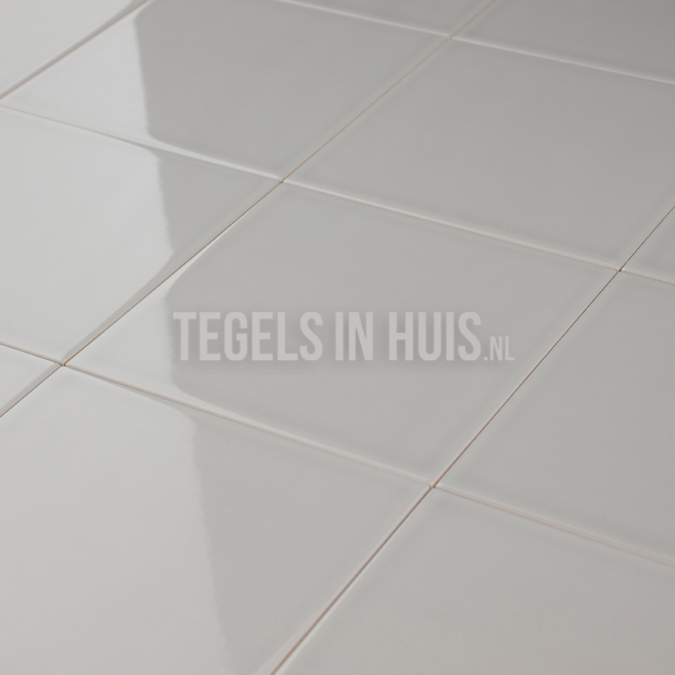 wandtegel evolution glans claro grijs 15x15 cm