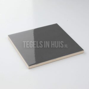 wandtegel evolution glans oscuro grijs 15x15 cm
