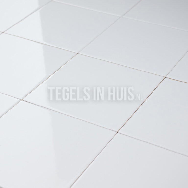wandtegel evolution glans wit 15x15 cm