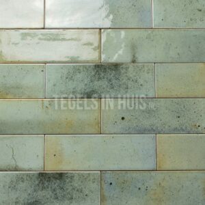 wandtegel hanoi celadon groen 6.5x20