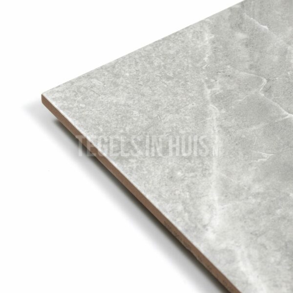 wandtegel pietra bo grijs mat 25x50
