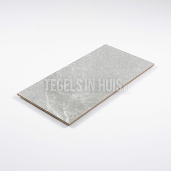 wandtegel pietra bo grijs mat 25x50