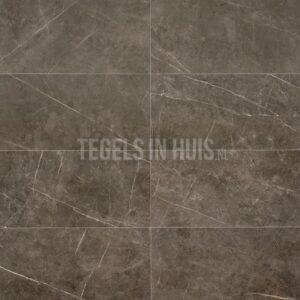 vloertegel / wandtegel ticino stone brons mat 60x120 gerectificeerd