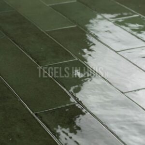 wandtegel tribe 6x24,6 cm handvorm glans sage groen verouderd