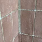 annelies kerssies 26 6 2