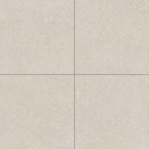vloertegel wandtegel oikos beige 60x60 gerectificeerd r9