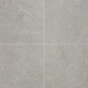 vloertegel wandtegel bluenza belgisch hardsteen warm grijs 60x60 gerectificeerd r10