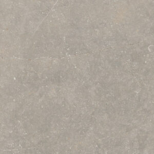 vloertegel wandtegel bluenza belgisch hardsteen warm grijs 60x60 gerectificeerd r10