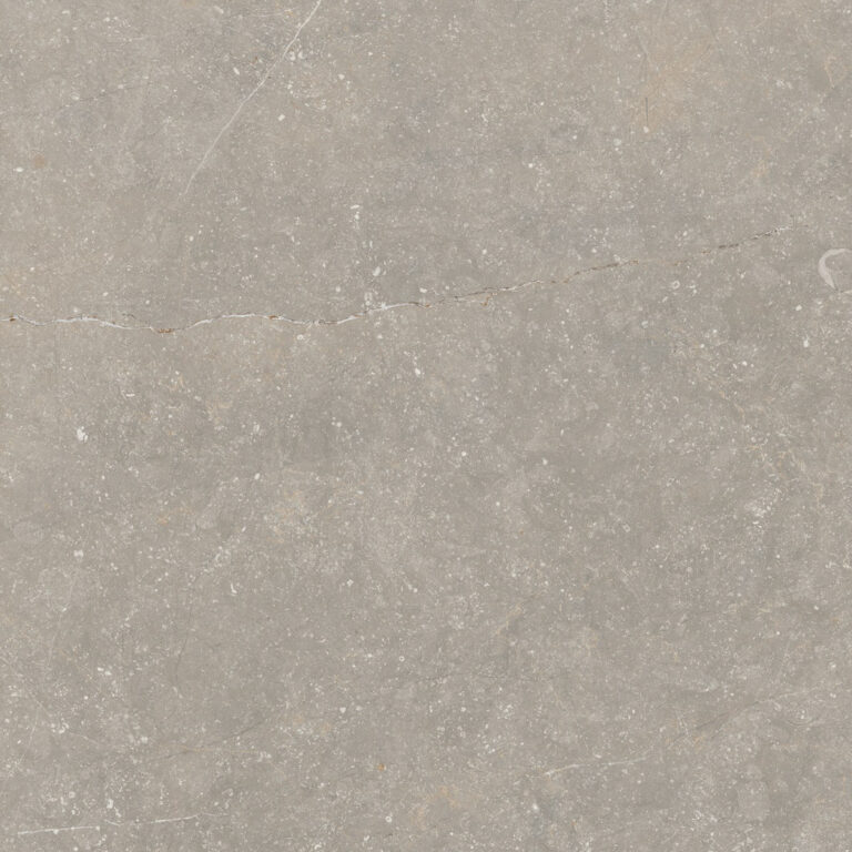 vloertegel wandtegel bluenza belgisch hardsteen warm grijs 60x60 gerectificeerd r10