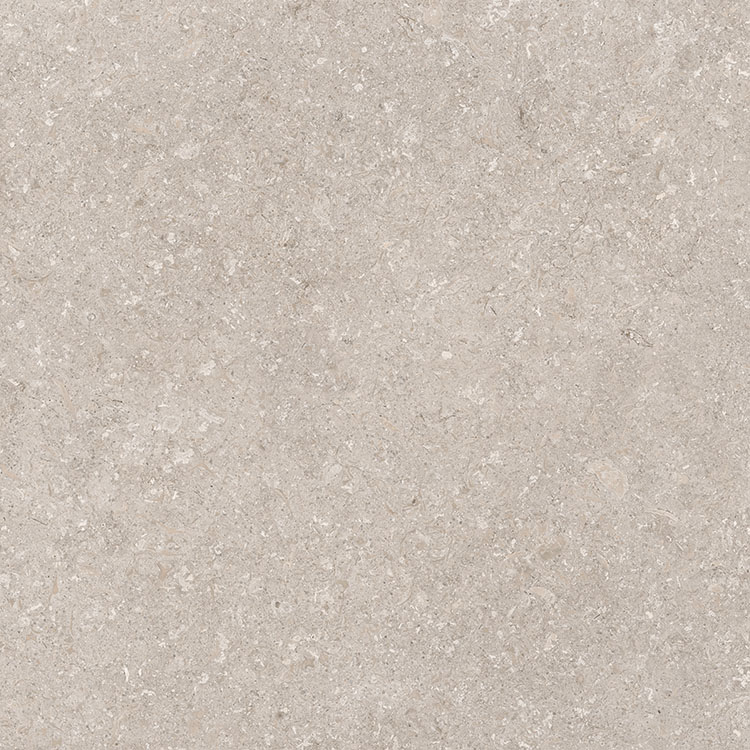 vloertegel wandtegel arvona tempo greige grijs beige 120x120 gerectificeerd r10 tegelknaller
